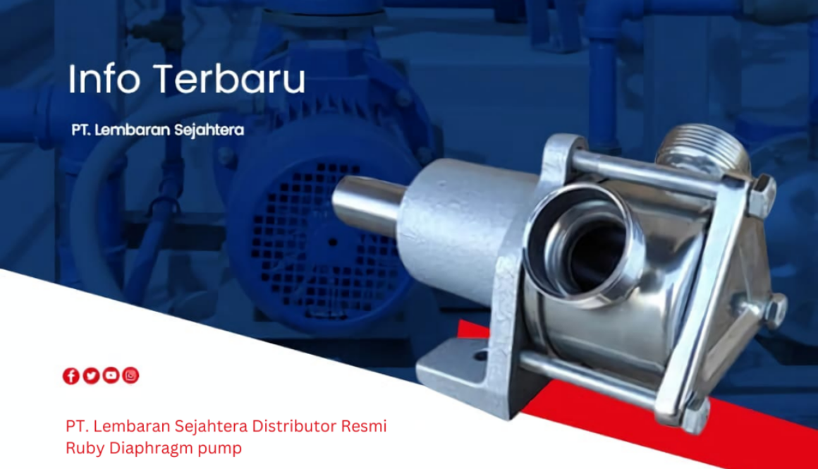 PT Lembaran Sejahtera Distributor Resmi Ruby Diaphragm pump (4) (1)