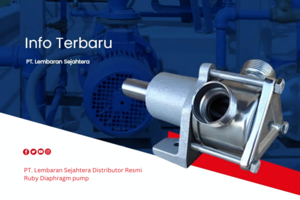 PT Lembaran Sejahtera Distributor Resmi Ruby Diaphragm pump (4) (1)