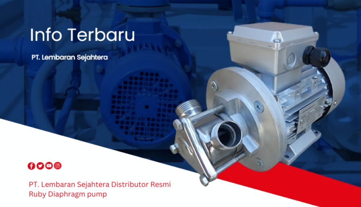 PT. Lembaran Sejahtera Distributor Resmi Ruby Diaphragm pump (1)