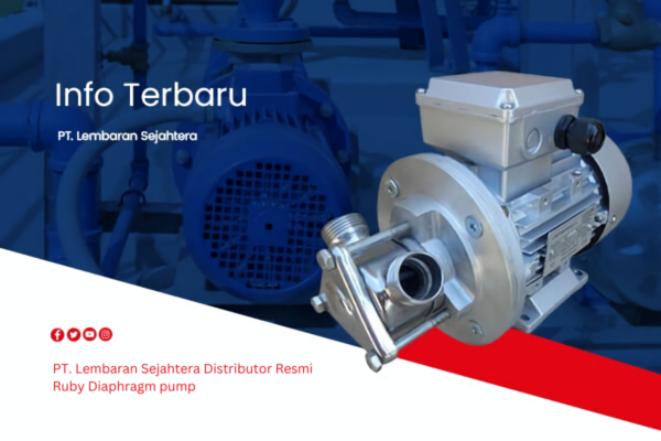 PT. Lembaran Sejahtera Distributor Resmi Ruby Diaphragm pump (1)