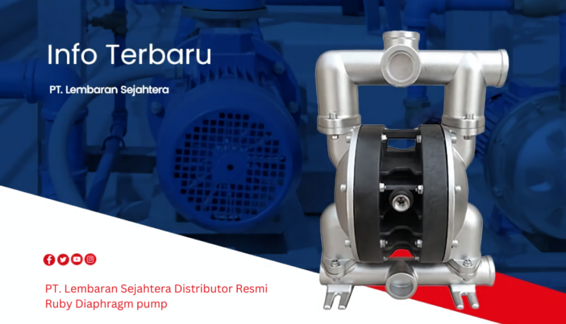 PT Lembaran Sejahtera Distributor Resmi Ruby Diaphragm pump (3) (1)