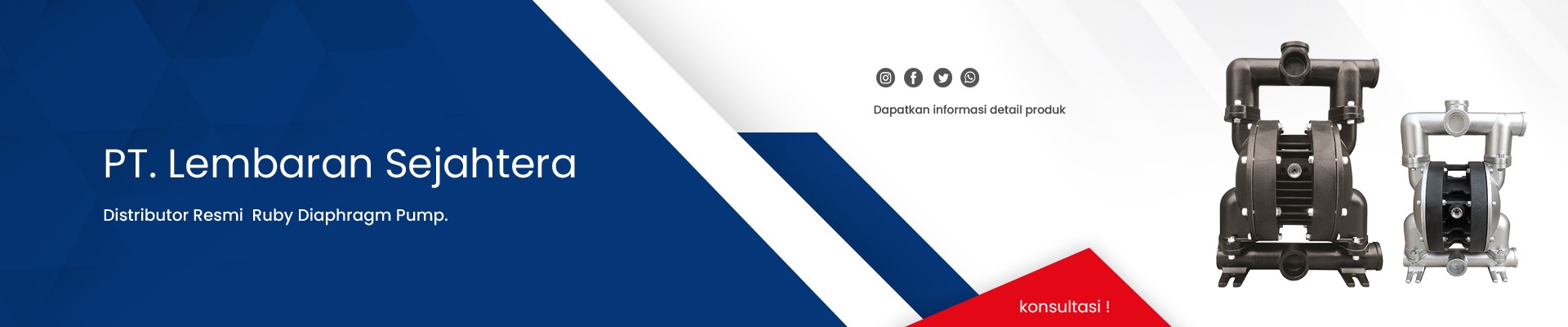 Ruby diaphragm pump - SIDE2